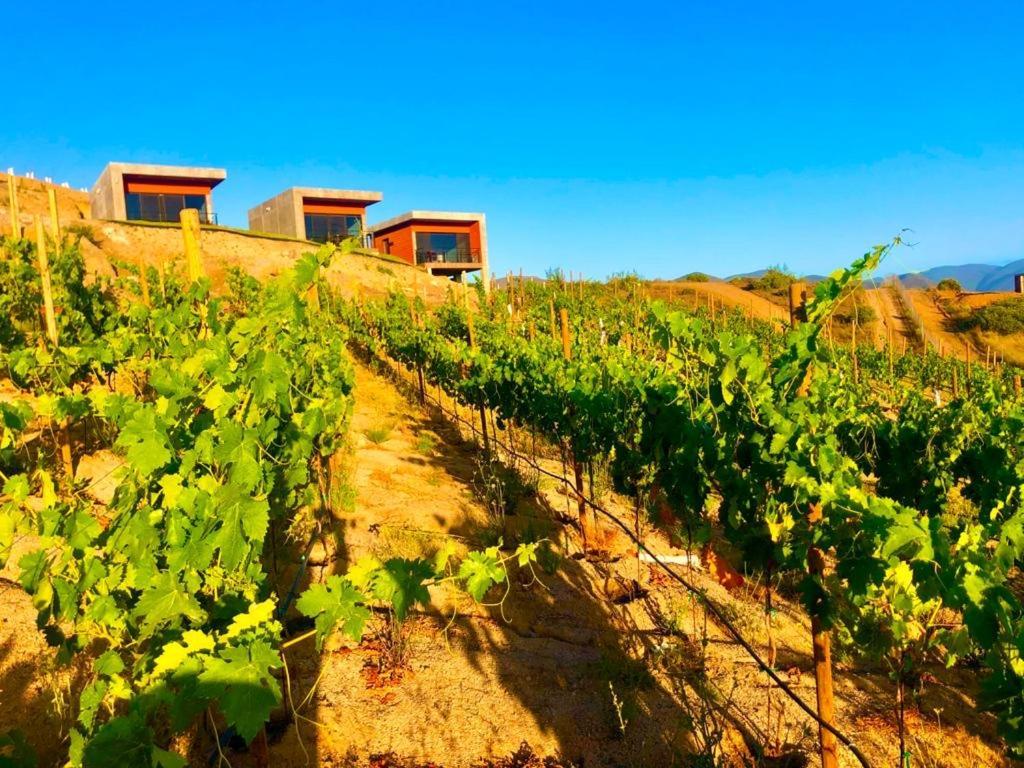 Siempre Valle Valle de Guadalupe Exterior foto