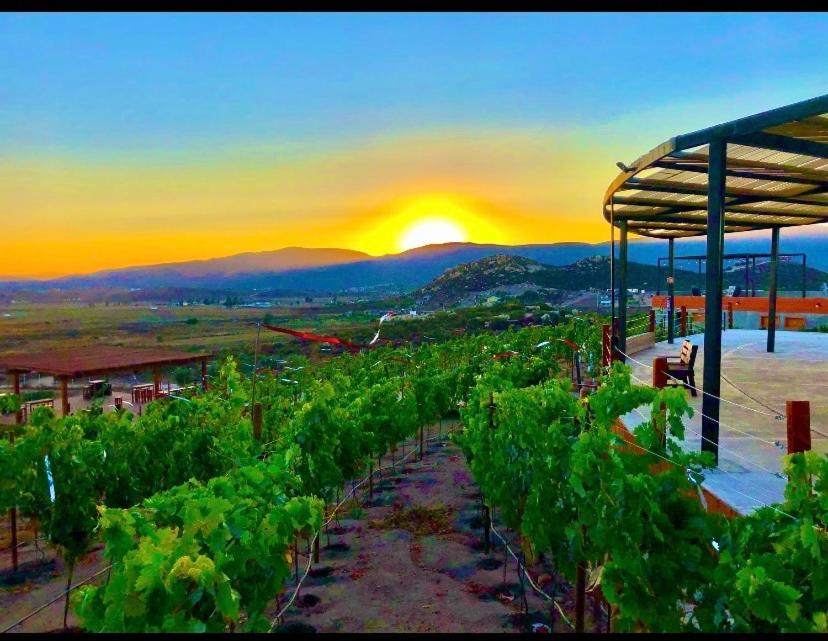 Siempre Valle Valle de Guadalupe Exterior foto