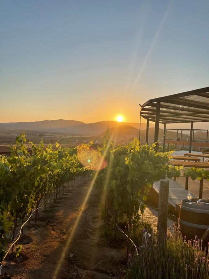 Siempre Valle Valle de Guadalupe Exterior foto